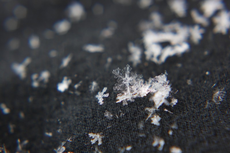 • Macro snowflake •