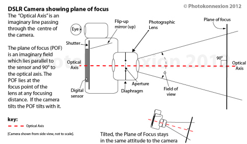 • Plane of Focus •