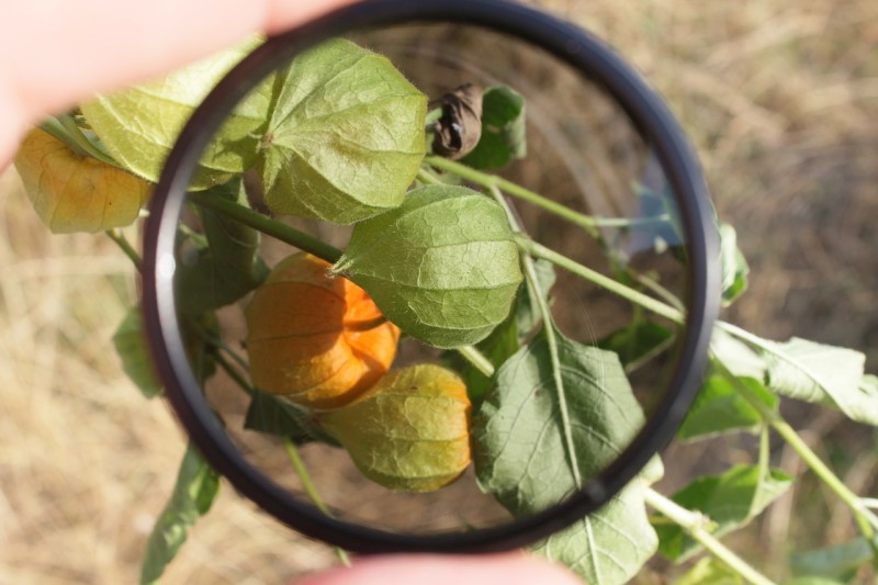 Polorising filter - one of the more essential gadgets.